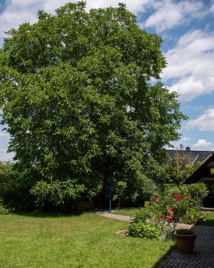 Ferienhaus Ostrauer Hof Bad Schandau Extérieur photo